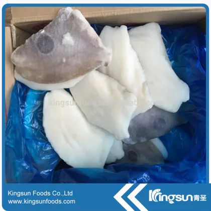Frozen Fish John Dory Fillet