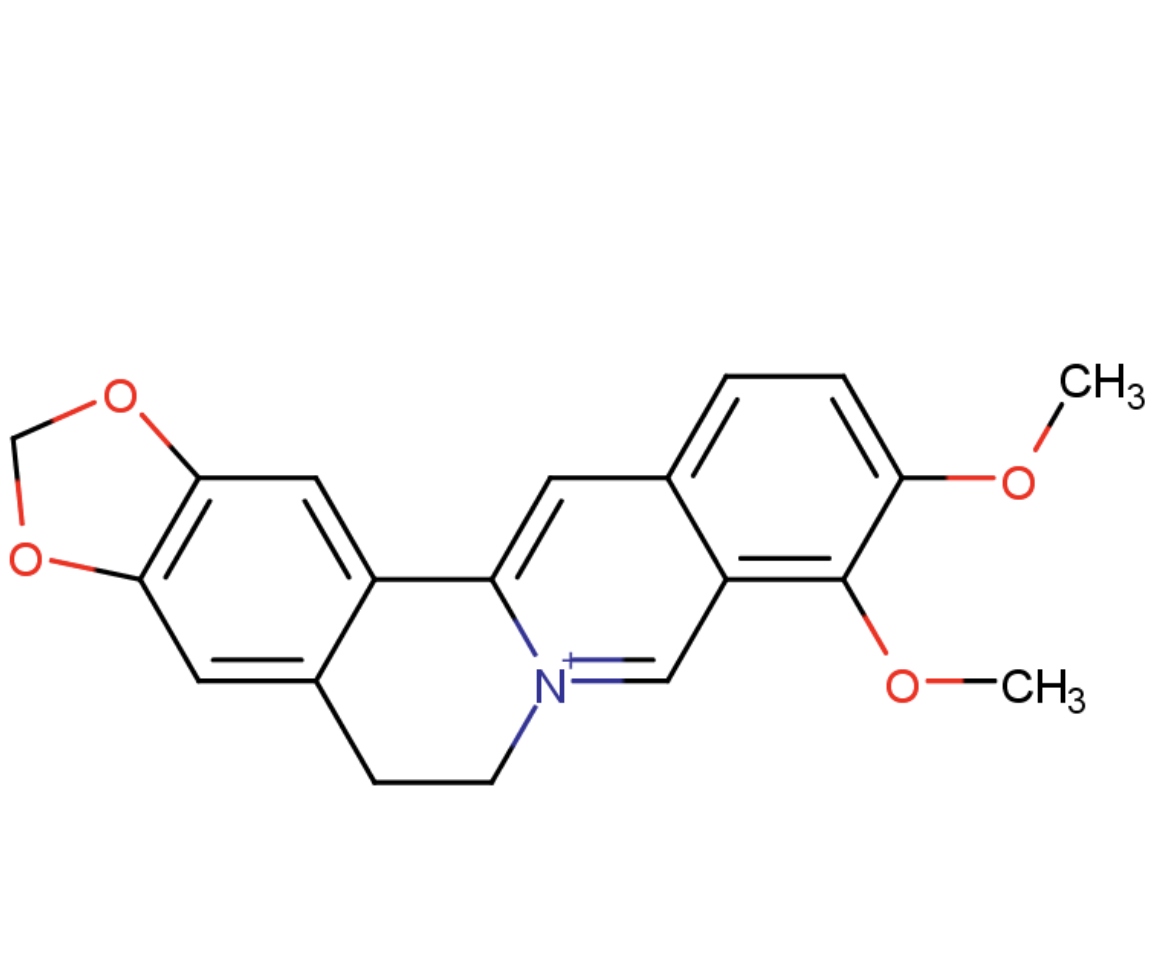 Berberine Extract Powder
