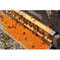 Bee Pollen Pulver mit bestem Preis