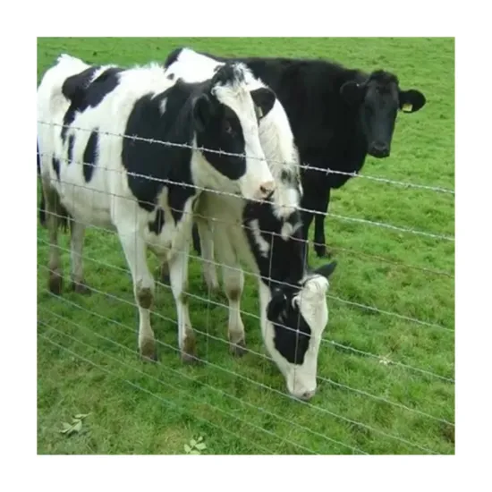 Galvanized Wire Mesh Fence for Cattle, Horses, Sheep, and Sports Fields