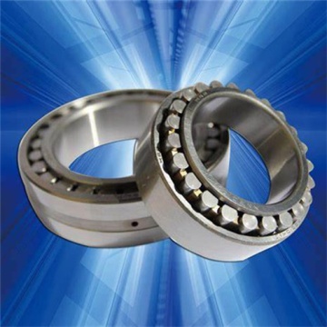 Precision Cylindrical Roller Bearings 2023