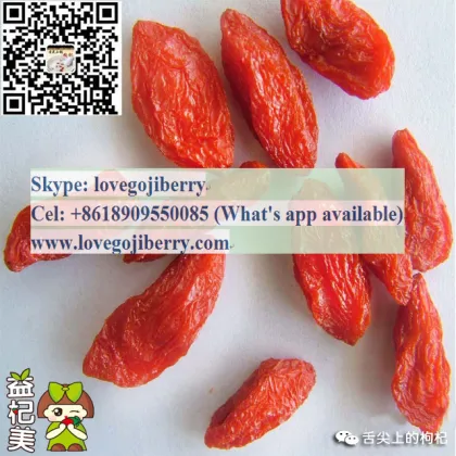Fresh Organic Goji berry Fruit Juice Powder