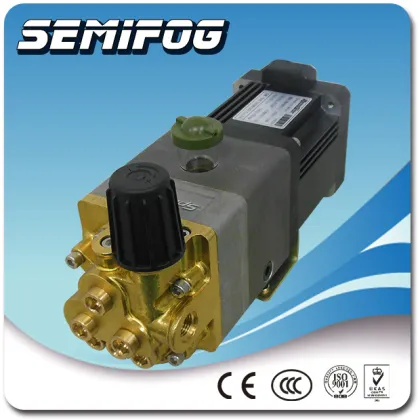 SEMIFOG electric motor water pump