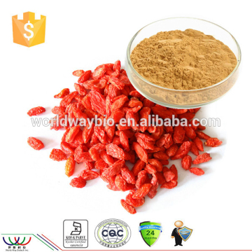 2015 Hot selling Wolfberry extract with 30% polysaccharides