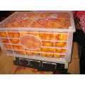 Nanfeng frische Baby Mandarine 35-40mm