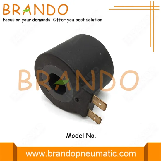 LPG CNG 15mm Hole Diameter 2 Pin Solenoid Coil