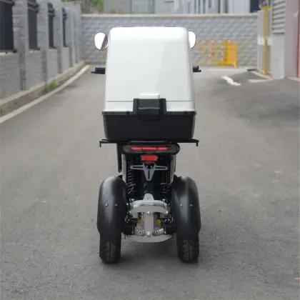 S3 Fat Tire Electric Tricycle
