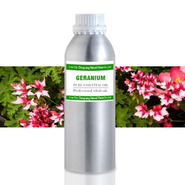 Wholesale 100% pure organic geranium essential oil wholesale