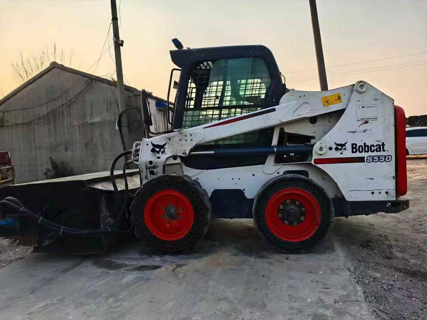 bobcat
