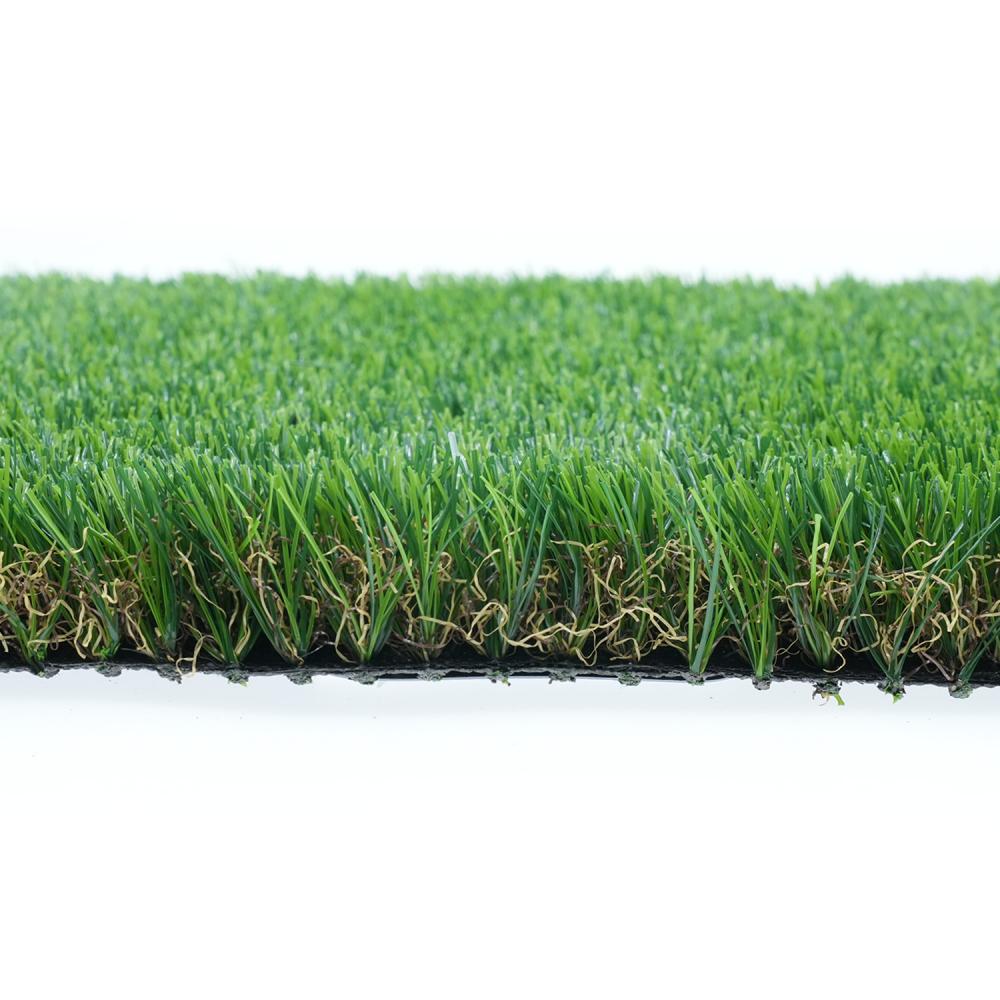Yard grass U424