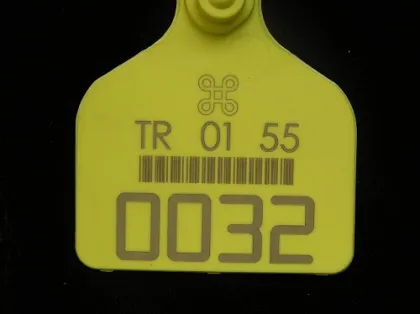 HGTECH Mopa M6+ color laser marking machine HGTECH Mopa M6 optical fiber laser with 20w 30w color marking