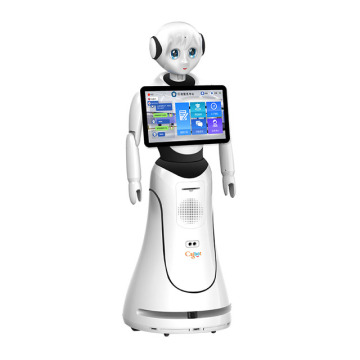 Multifunctional Programmable Greeting and Marketing Robot for Shopping Malls, Hotels, and Airports