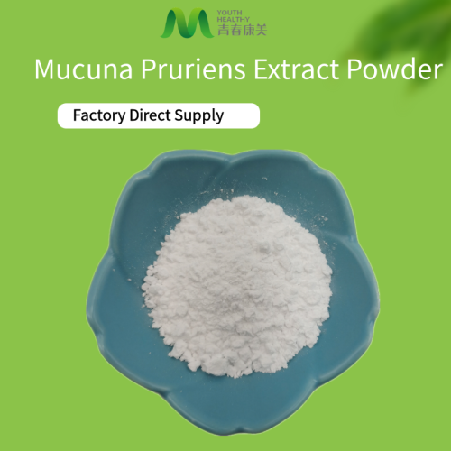 Extracto de hierbas Mucuna pruriens Extracto de semilla en polvo 15%