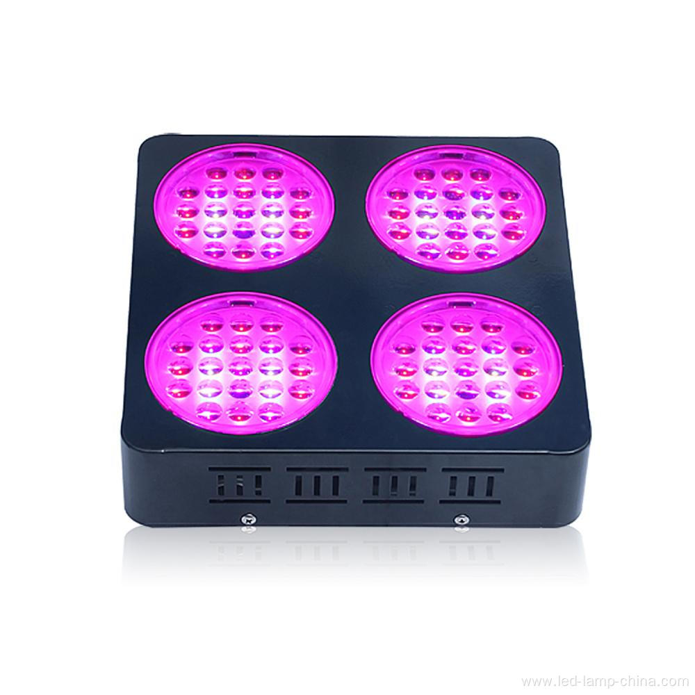 Hydroponic Vertical Led Grow Light