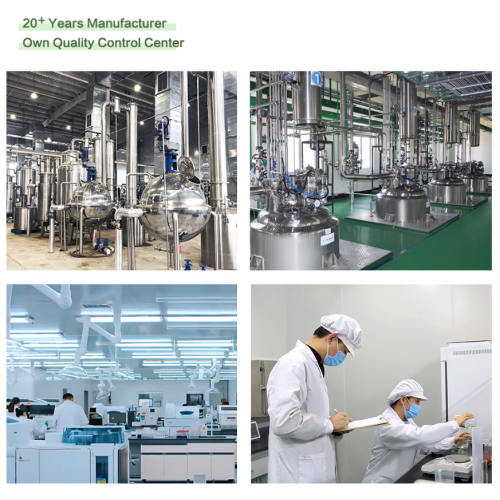 Estratto naturale di chicchi di caffè verde per il controllo del peso