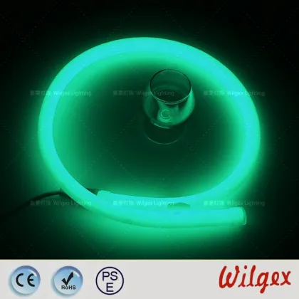 LED Neon Flex Auto