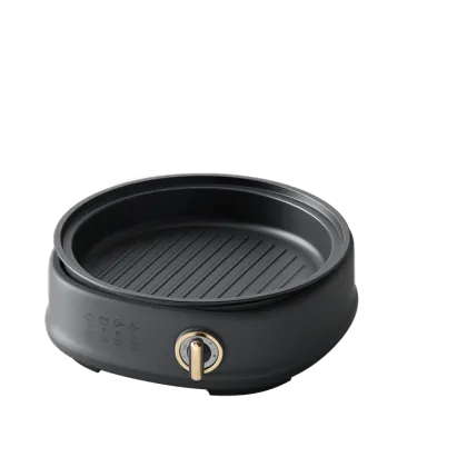 Steeleess Kitchen Appliances: New Multifunctional Electric Cooking Pot