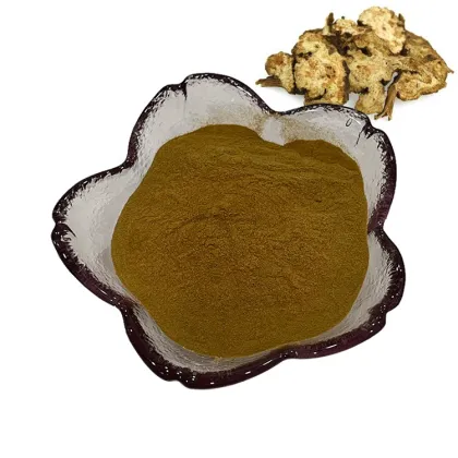 100% pure natural ligusticum sinense oliver extract  powder/ligusticum jeholense extract