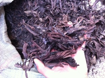 Factory supply  Lithospermum erythrorhizon Extract Shikonin 30% / Gromwell root extract powder