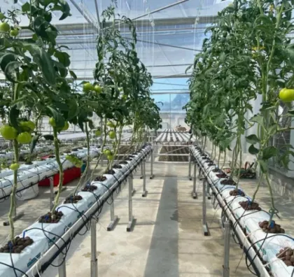Custom NFT Channel for Hydroponics and Anti-UV PVC Gully