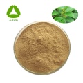 Hpyerglycemic Gymnemic Extract Gymnemic Acids 25% Powder