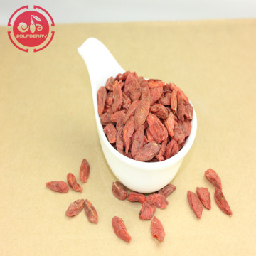 100% Raw From Ningxia Feel Good goji berry