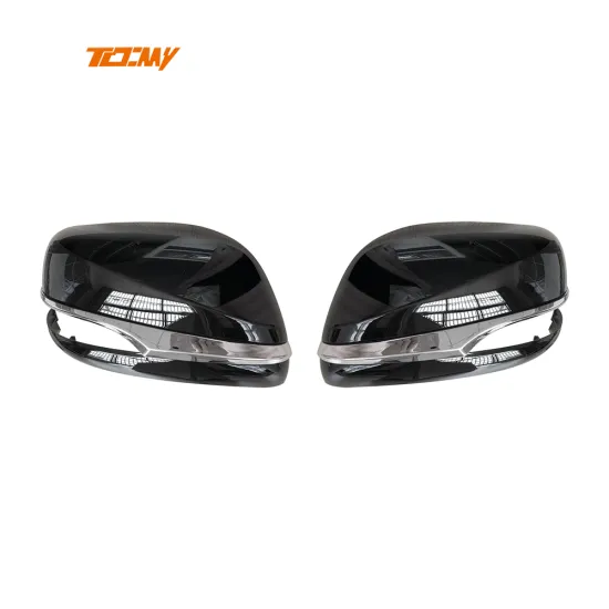 Direct Supply Car Body Kits: LX570 Side Door Mirror & Rear View Mirror for Lexus LX570 (2016-2020)