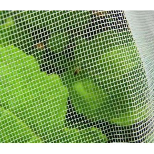 Insect Mesh Netting Insect netting for vegetable gardens Supplier