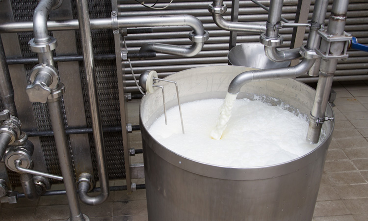 sterilize fresh milk equipment