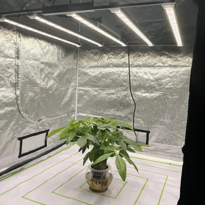 Led Grow Light Spider Farmer