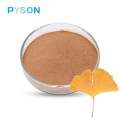 Top Quality Organic Ginkgo Biloba Extract powder