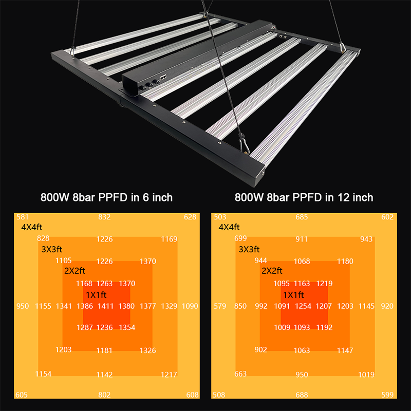 Artificial Light For Plants