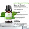 Organic Mentha Piperita essential Oil Mint Oil Bulk