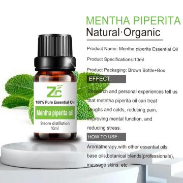 Organic Mentha Piperita essential Oil Mint Oil Bulk