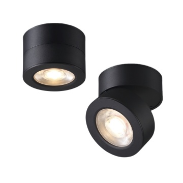 Aménagement de plafond downlight moderne de 12W LED Downlight