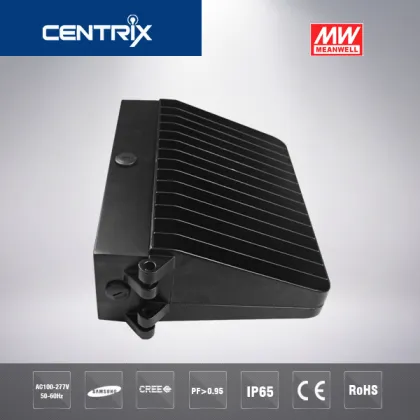 100w led outdoor wall lights for Meanwell driver Cree chip wall light