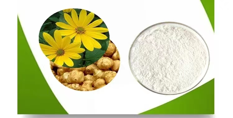 High Quality Food Ingredient Inulin 90%