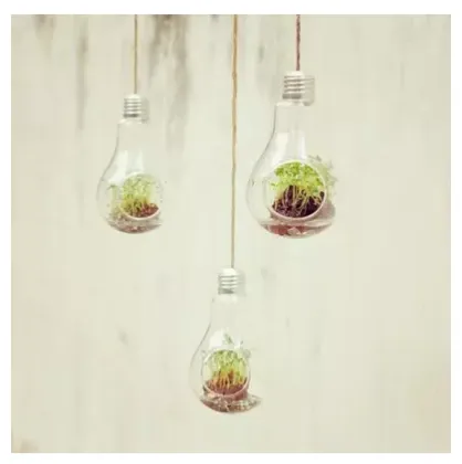 Water Drop Hanging Glass Vases