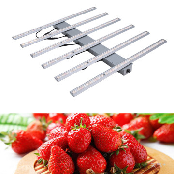 Wenyi Kind LED Grow Light Kits For Strawberry