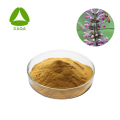 Leonurus Motherwort Extract Powder