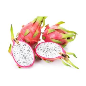 Red and White Pitaya Fruit