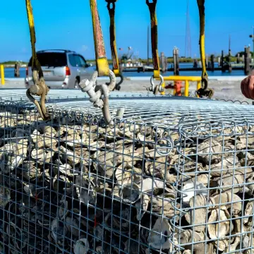 Welded Wire Mesh Mattresses