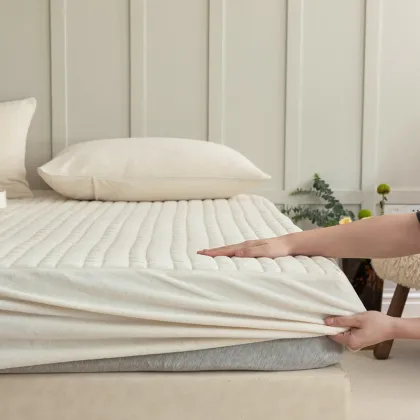 Winter Velvet Quilt Mattress Cover with Filling