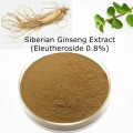 High quality Siberian Ginseng Extract
