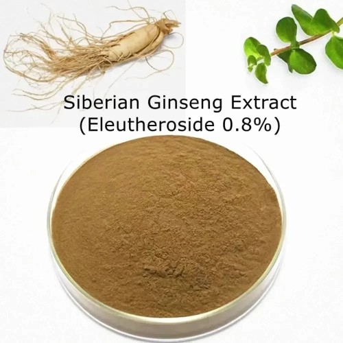 High quality Siberian Ginseng Extract