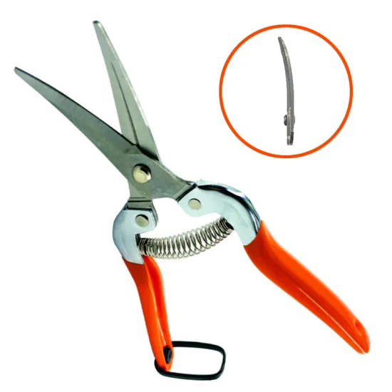 Professional Stainless Steel Garden Grape Plant Pruning Shears with Non-slip Handle and Curved Blades - Top Selling Gardening Tools