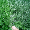 Youth Rugby of Rugby Artificial Grass