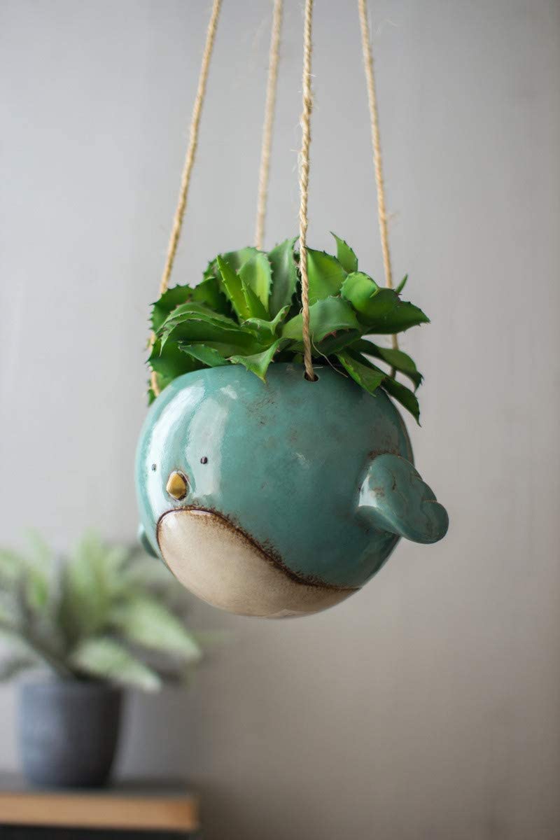 Bluebird Hanging Pflanzer Pot