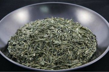 China famous competitive price Sencha steamd tea