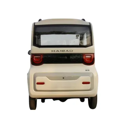 Haibao Cao Mei New Energy Electric Motorcycles and Scooters: Customizable Options with Lithium Batteries